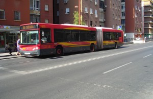 Autobuses