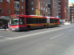 Autobuses