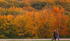 Temporada de otoño en Sevilla